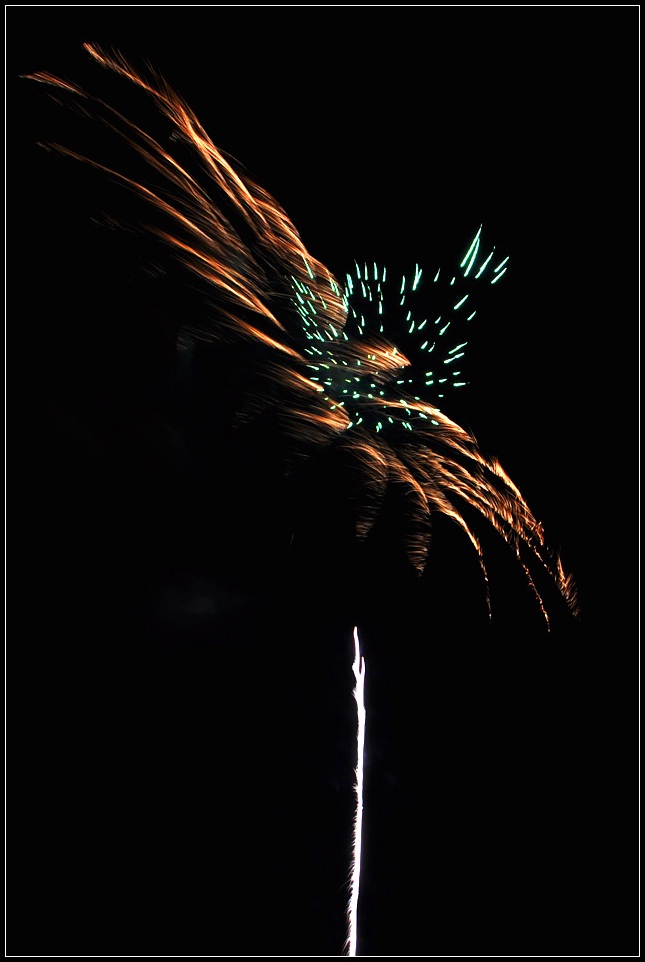 DSC_6539_1.jpg