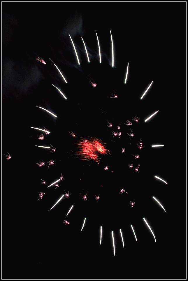 DSC_6553_1.jpg