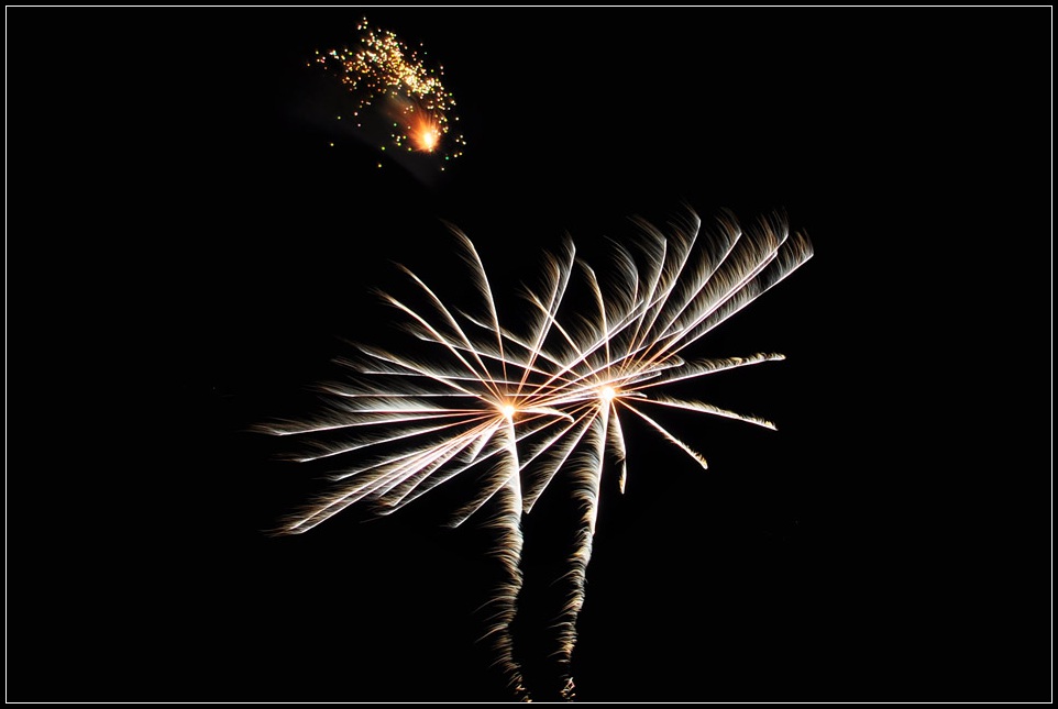 DSC_6554_1.jpg