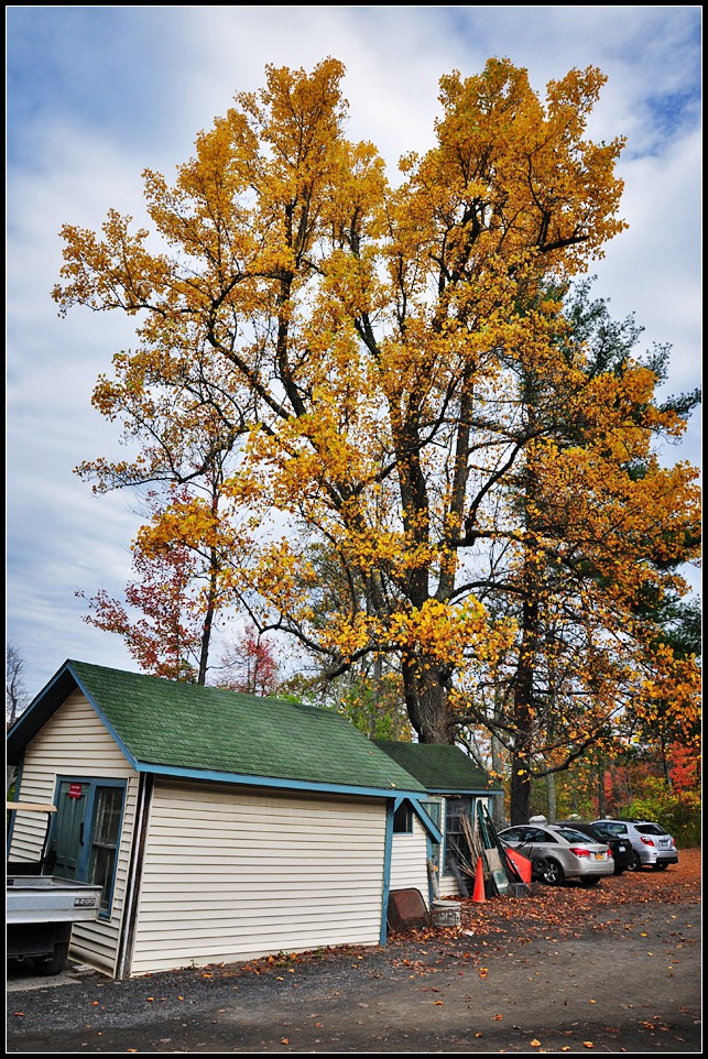 DSC_2279_1.jpg