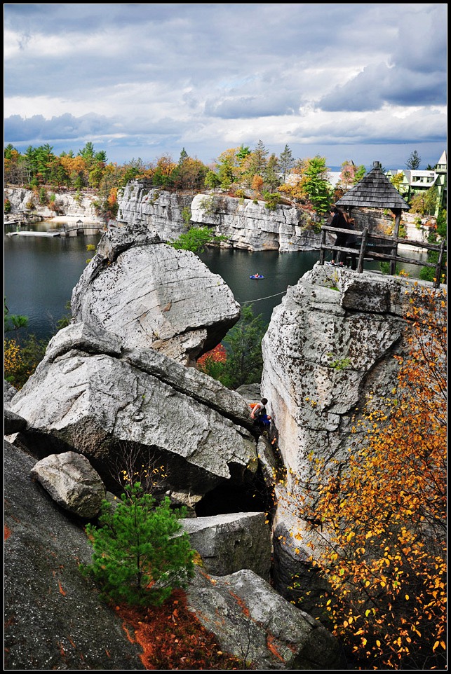 DSC_2452_1.jpg
