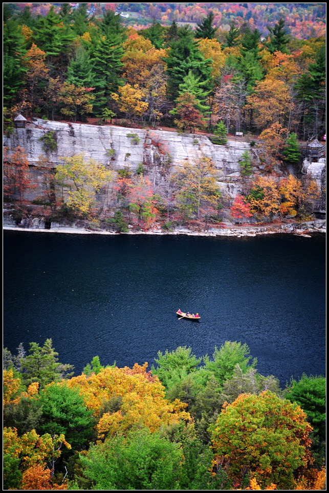 DSC_2478_1.jpg