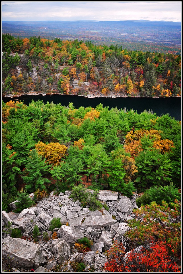 DSC_2489_1.jpg