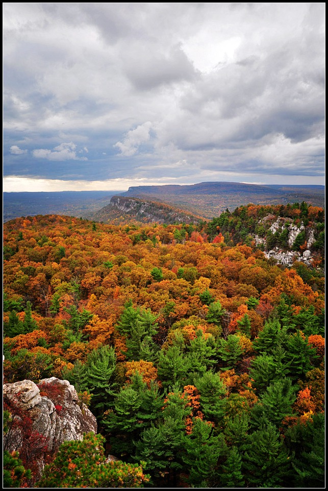 DSC_2491_1.jpg