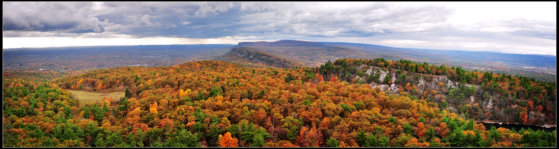 DSC_25067890_1.jpg