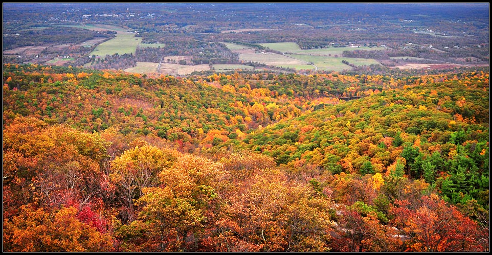 DSC_2520_1.jpg