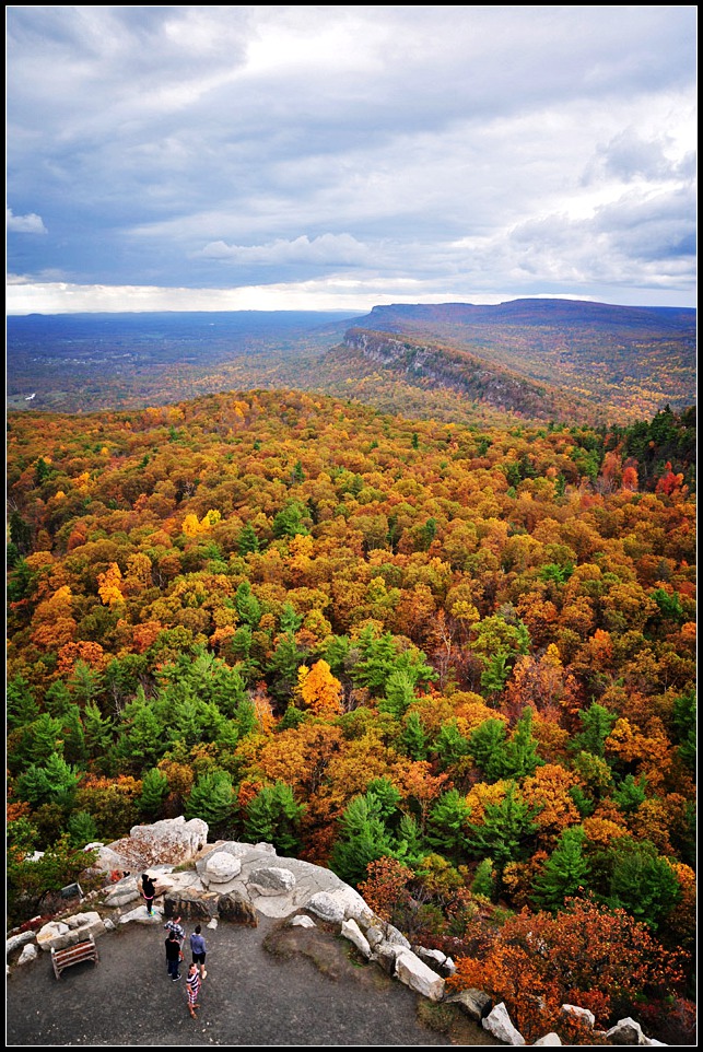 DSC_2523_1.jpg