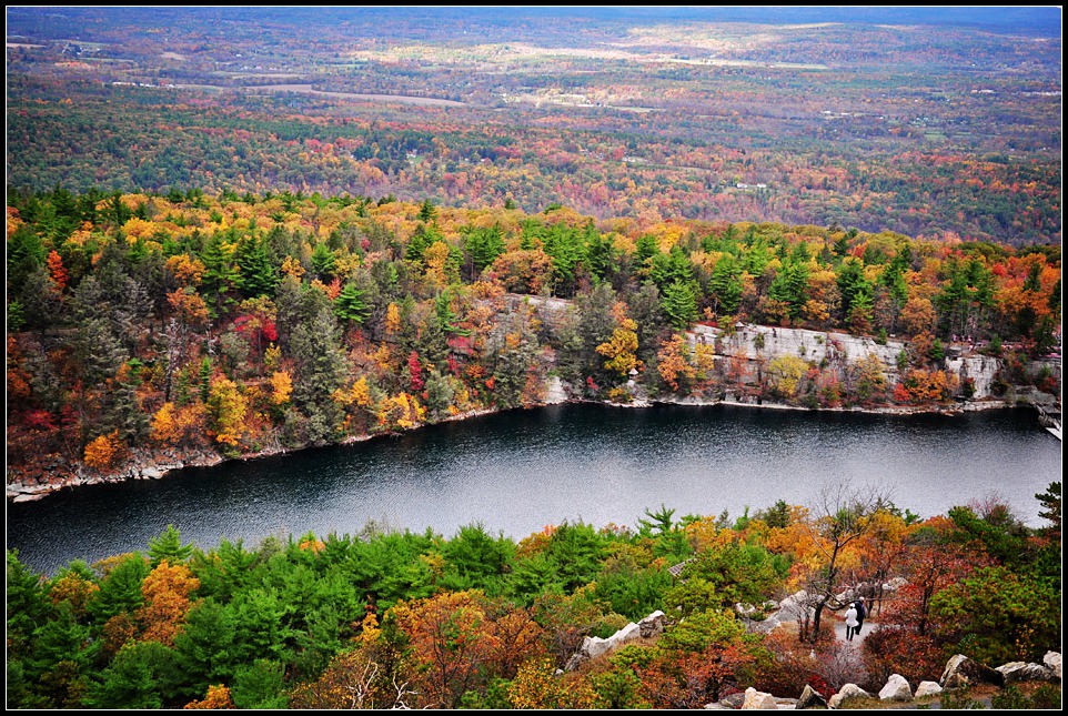 DSC_2543_1.jpg