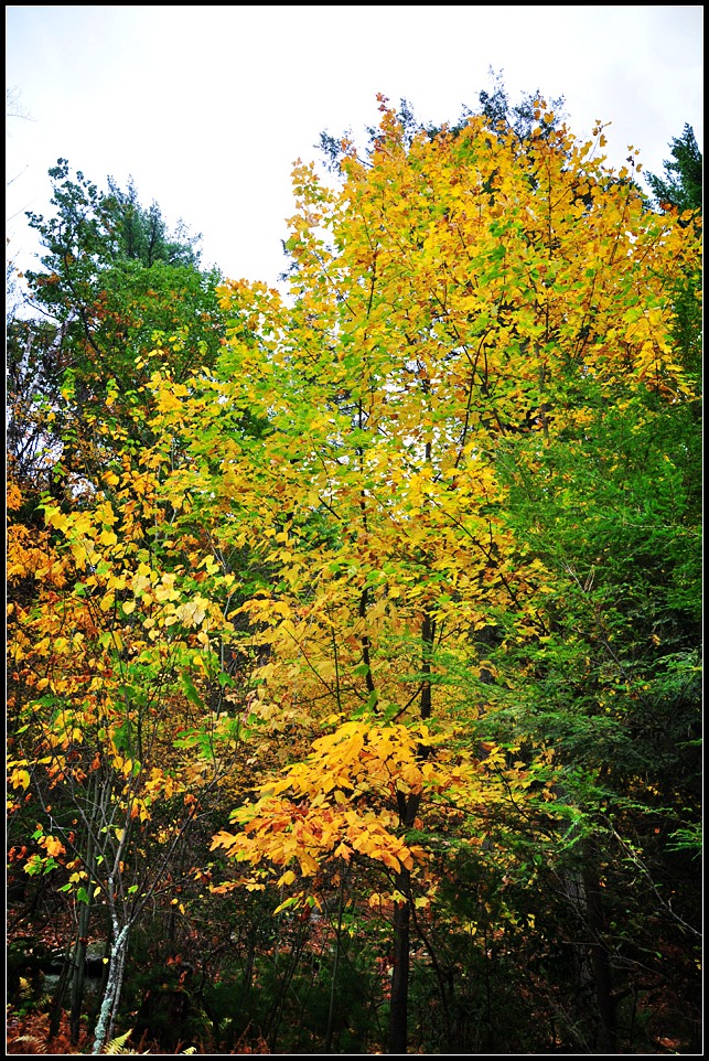 DSC_2567_1.jpg