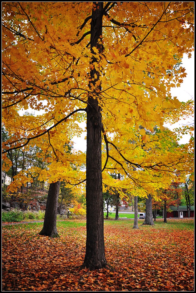 DSC_2622_1.jpg