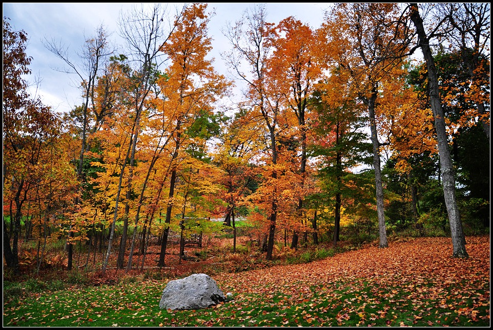 DSC_2629_1.jpg