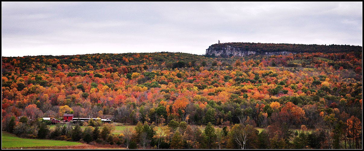 DSC_2645_1.jpg