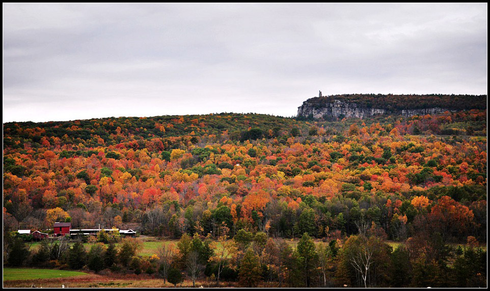 DSC_2647_1.jpg