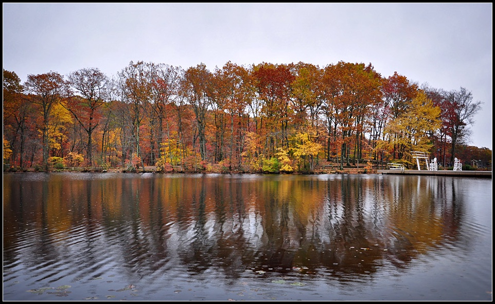 DSC_3073_1.jpg