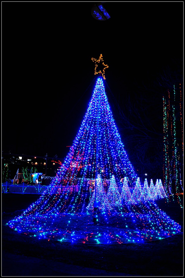 DSC_3954_1.jpg