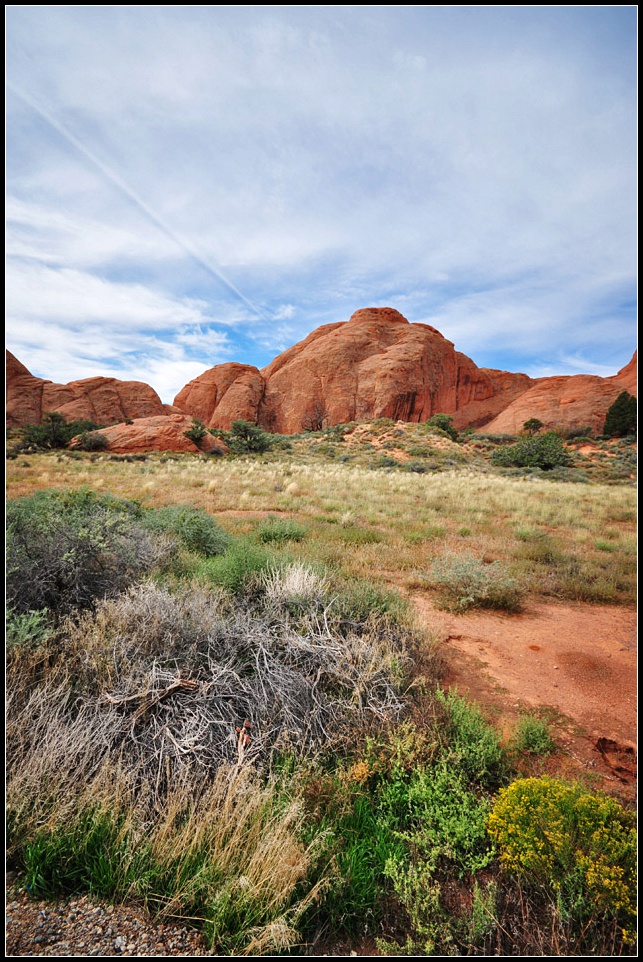 DSC_0002_1.jpg