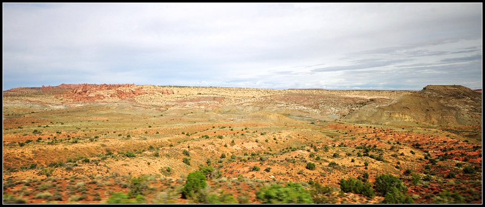 DSC_0008_1.jpg