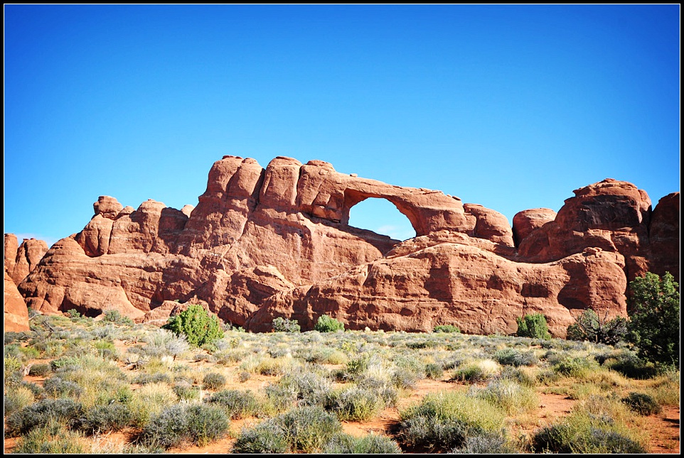 DSC_9805_1.jpg