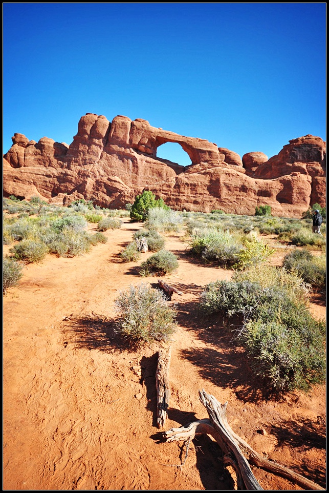 DSC_9819_1.jpg
