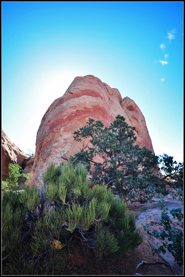 DSC_9825_1.jpg