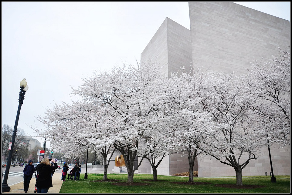 DSC_5929_1.jpg