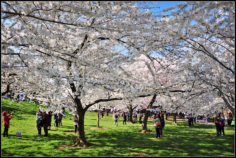 DSC_6064_1.jpg