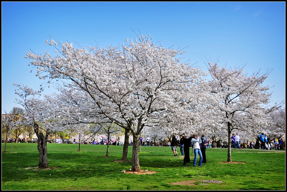 DSC_6137_1.jpg