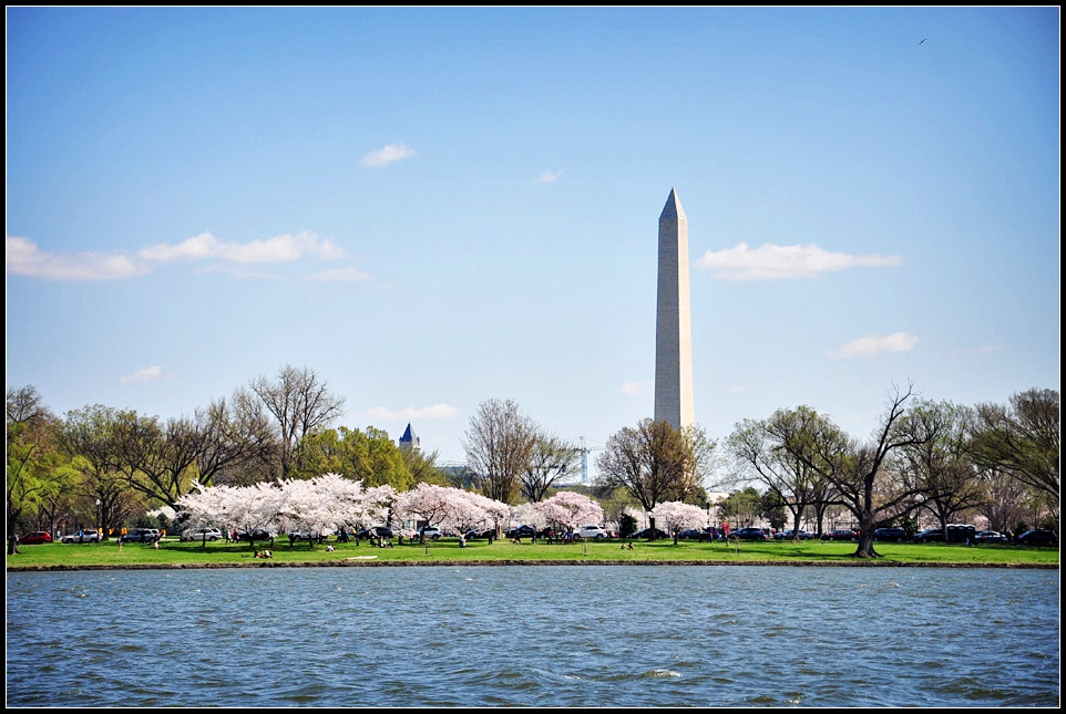 DSC_6203_1.jpg