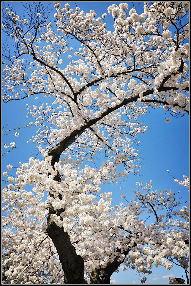 DSC_6329_1.jpg