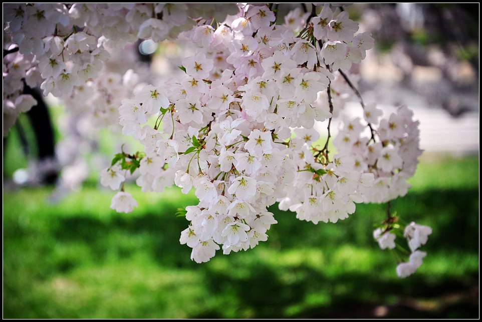 DSC_6393_1.jpg