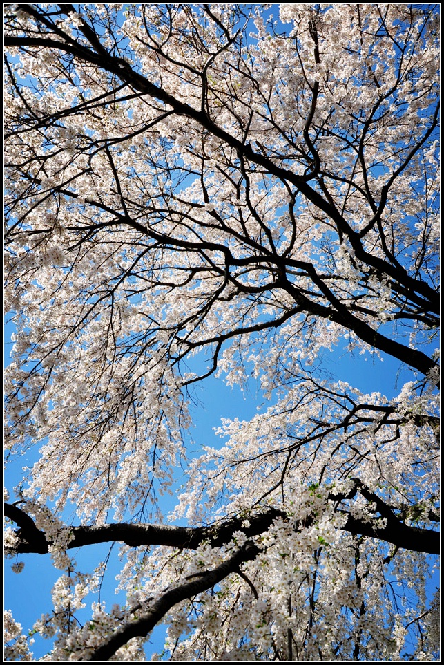 DSC_6409_1.jpg