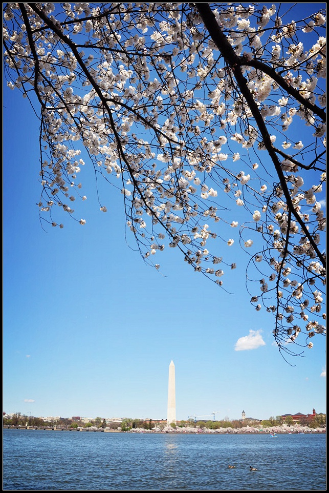 DSC_6454_1.jpg