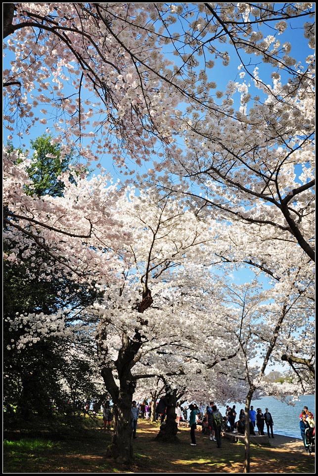 DSC_6487_1.jpg