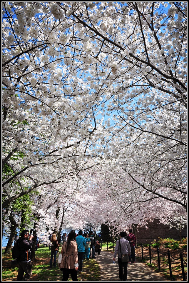 DSC_6493_1.jpg