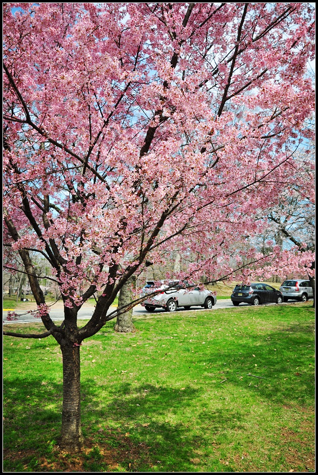 DSC_7040_1.jpg