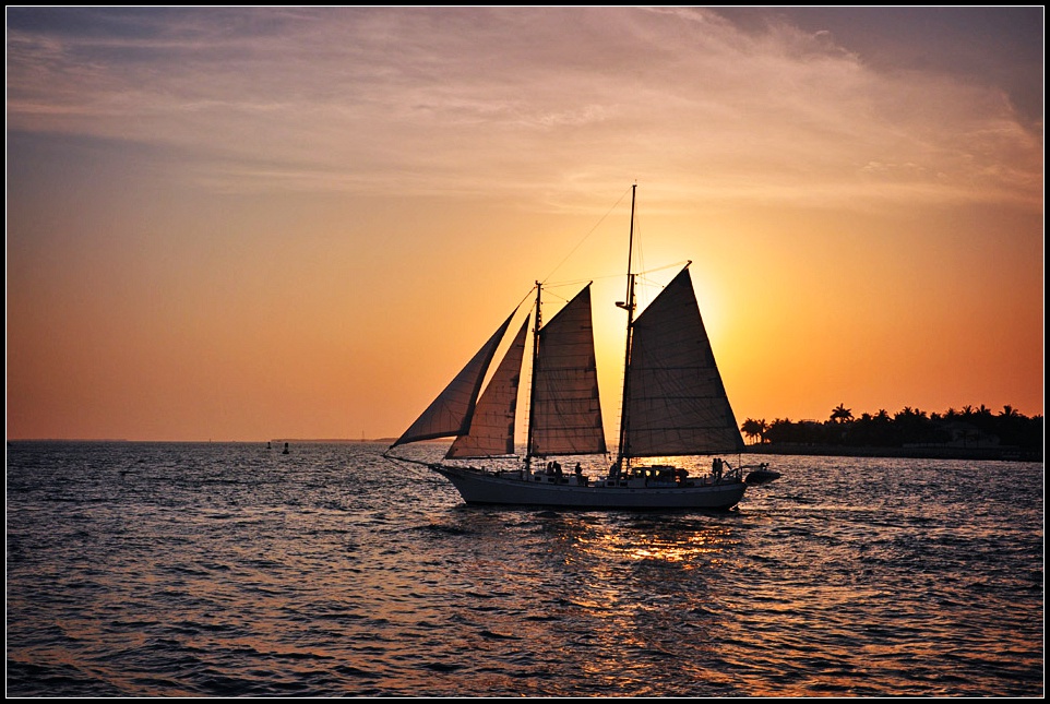 DSC_7381_1.jpg