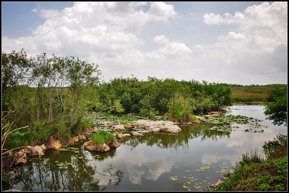 DSC_7475_1.jpg