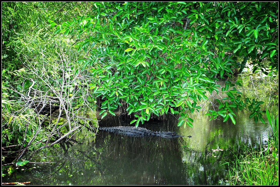 DSC_7481_1.jpg