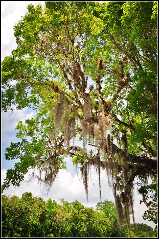 DSC_7543_1.jpg
