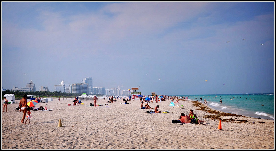 DSC_7789_1.jpg