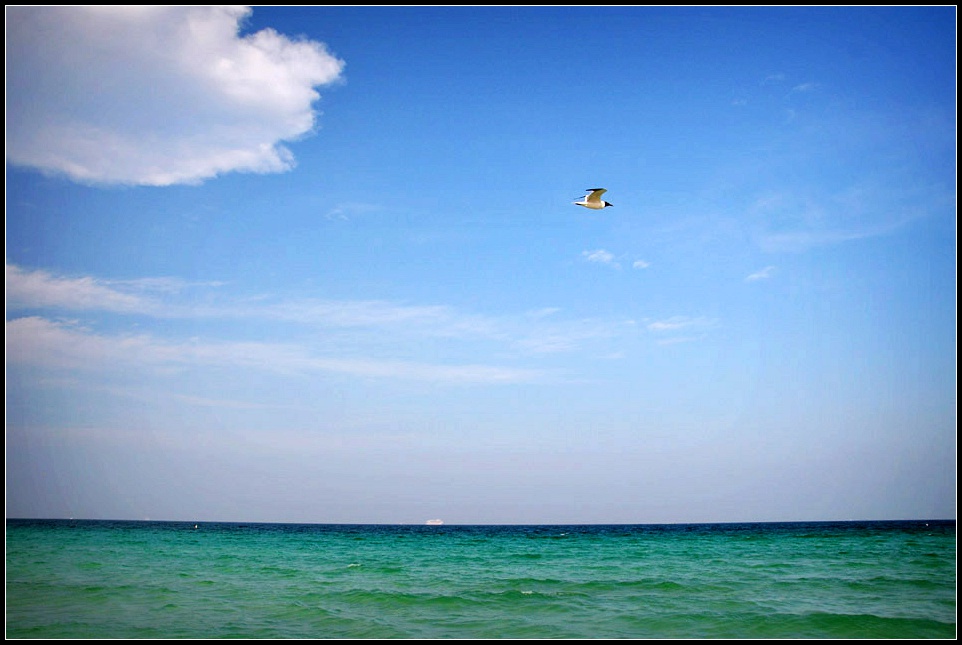 DSC_7822_1.jpg