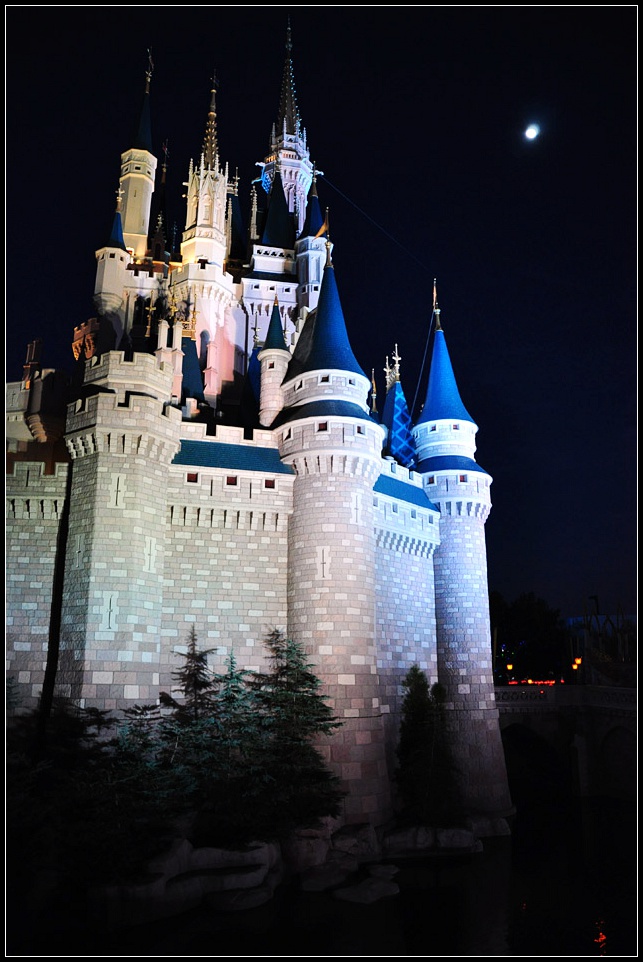 DSC_9625_1.jpg