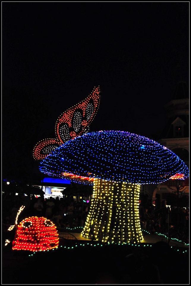 DSC_9687_1.jpg