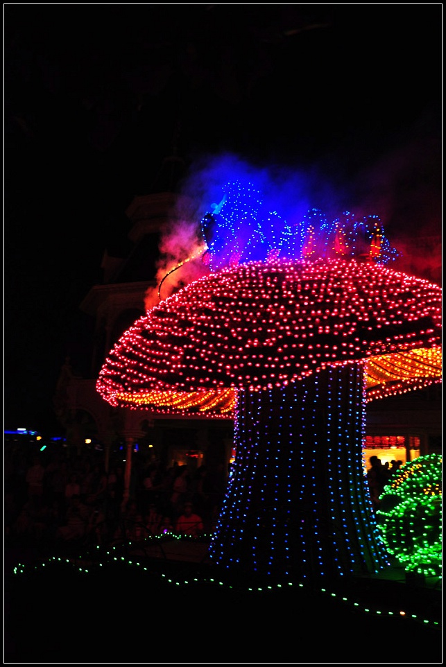 DSC_9693_1.jpg
