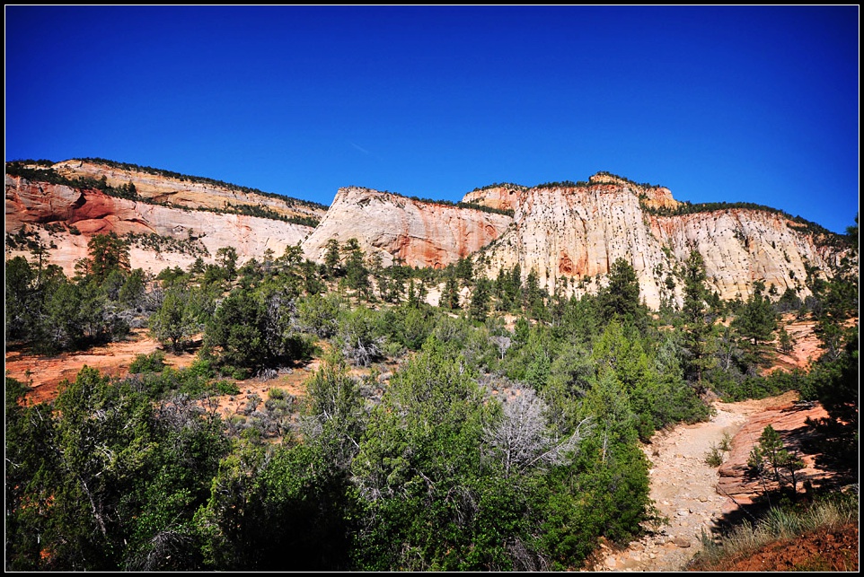 DSC_1701_1.jpg