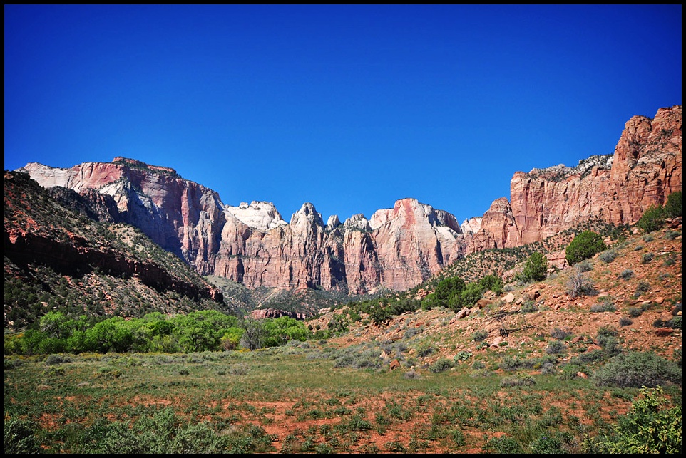DSC_1911_1.jpg