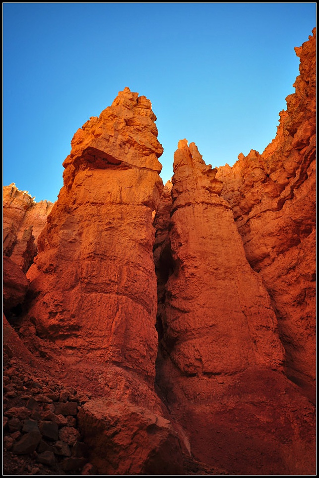 DSC_1602_1.jpg