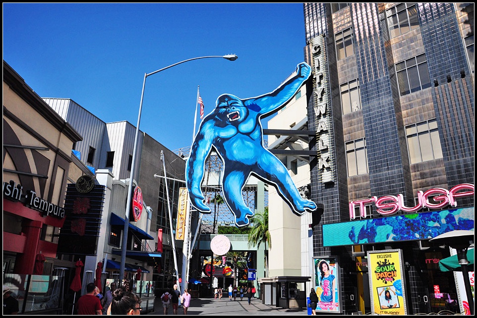 DSC_3415_1.jpg