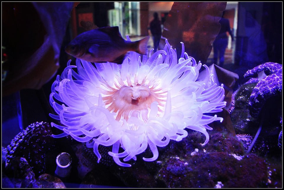 DSC_3952_1.jpg