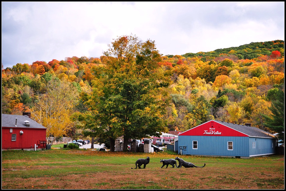 DSC_4579_1.jpg